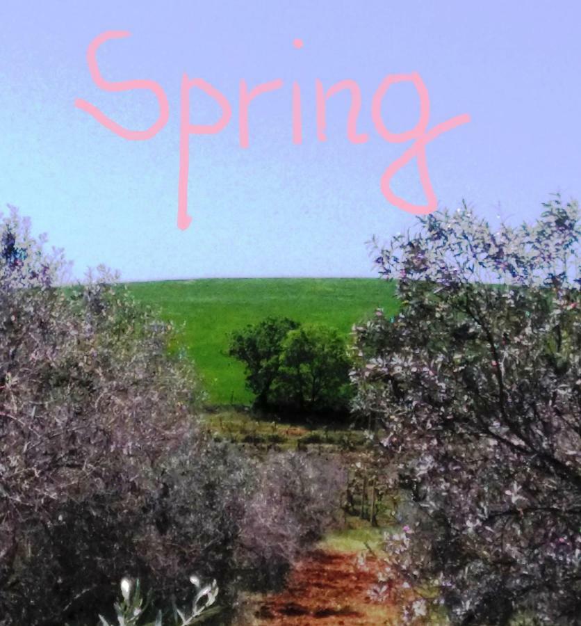 Agriturismo Il Cantiniere 格罗塞托 外观 照片