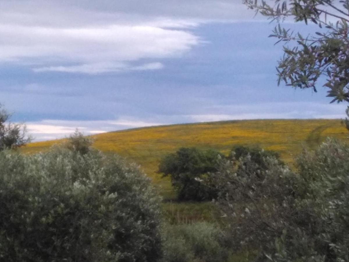 Agriturismo Il Cantiniere 格罗塞托 外观 照片